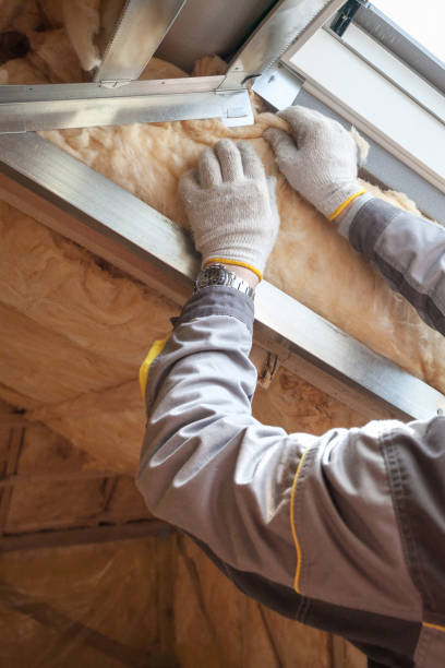 Best Professional Insulation Contractor  in Burr Ridge, IL