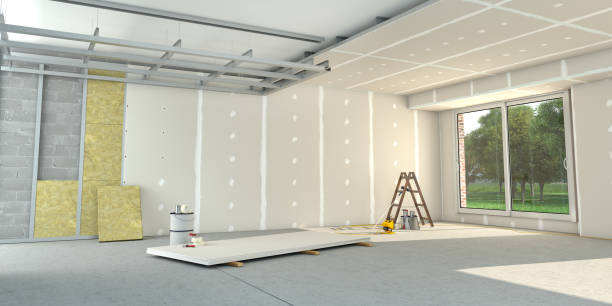 Best Attic Insulation Installation  in Burr Ridge, IL