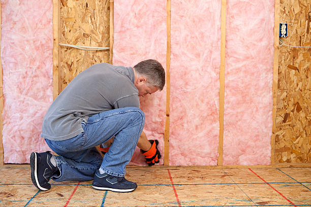 Best Insulation Removal Services  in Burr Ridge, IL